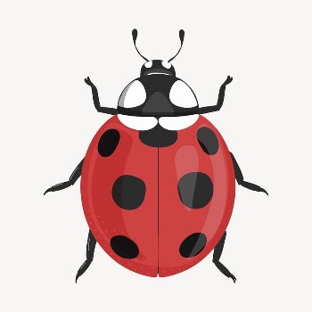 Ladybug collage element, cute cartoon | Free Vector Illustration - rawpixel