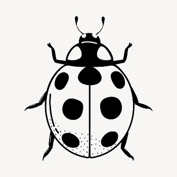 Ladybug doodle clipart, cute black | Free PSD Illustration - rawpixel