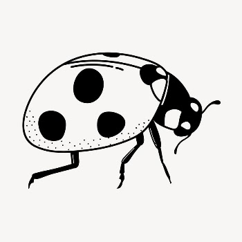 Ladybug doodle clipart, cute black | Free PSD Illustration - rawpixel