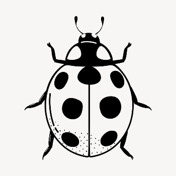 Ladybug doodle collage element, cute | Free Vector Illustration - rawpixel