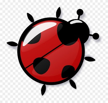 Ladybug Free To Use Clipart - Ladybug Joaninha