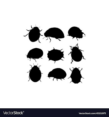 ladybug insect animal set design