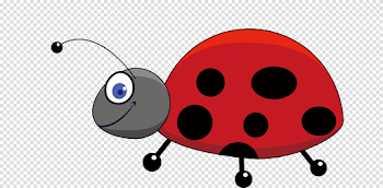 Ladybug Insect PNG Download Image