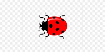 Ladybug Insect Vector Garden Nature Red Sp - Vector Graphics