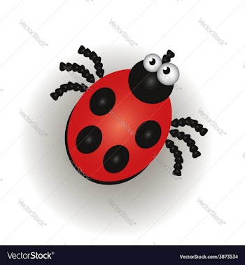 Ladybug isolated on the white background vector image