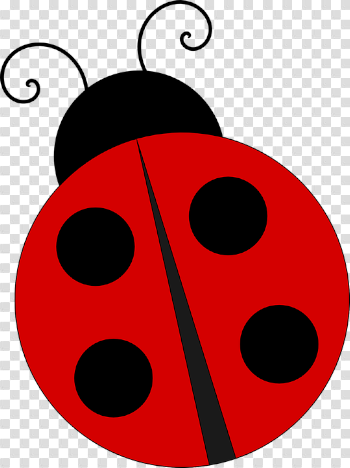 Ladybug Ladybird Nature - Free vector graphic on Pixabay
