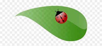 Ladybug On A Leaf Drawing - Cute Personalised Ladybug On White Tote Bag