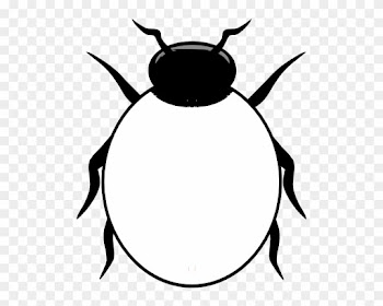 Ladybug Outline 9 Clipart - Things That Bug Me Worksheet