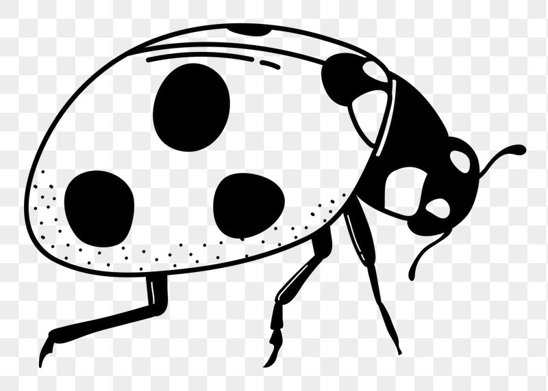 Ladybug png doodle sticker, black | Free PNG Illustration - rawpixel