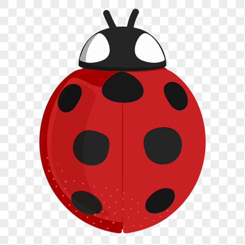 Ladybug png sticker, cute illustration, | Free PNG Illustration - rawpixel