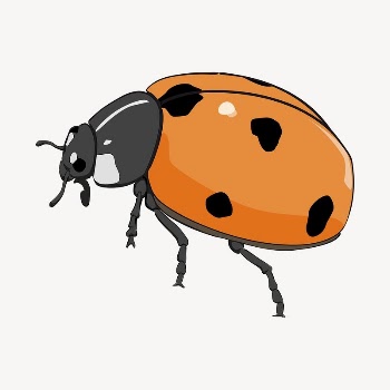 Ladybug sticker, insect illustration psd. | Free PSD - rawpixel