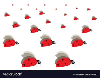 Ladybugs vector image