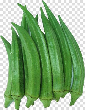 Ladyfinger Okra Vegetable Organic food African cuisine, vegetable transparent background PNG clipart