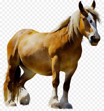 LAGOS ZOO Mustang Pony Animal -  