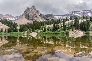 lake across forest
