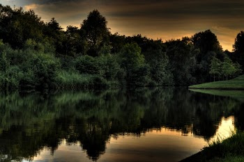 Lake and Green Leafed Trees