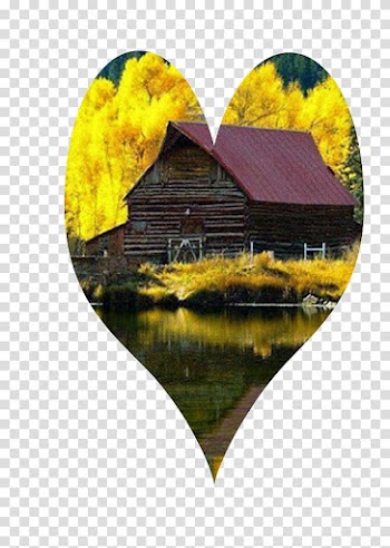 Lake City Samsung Galaxy Grand 2 King Autumn, The Lake House transparent background PNG clipart