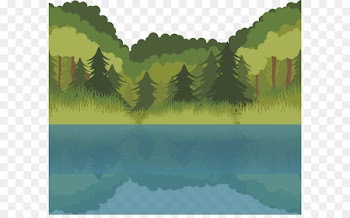 Lake Euclidean vector Forest - Lake forest 