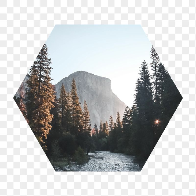 Lake forest png badge sticker, | Free PNG - rawpixel