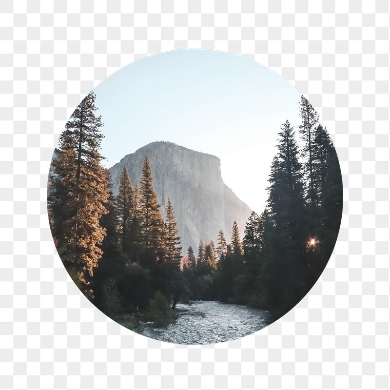 Lake forest png badge sticker, | Free PNG - rawpixel