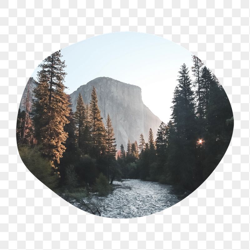 Lake forest png badge sticker, | Free PNG - rawpixel