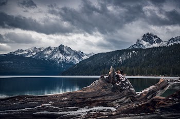 Lake in Forest