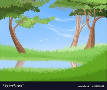 Lake in nature vector image