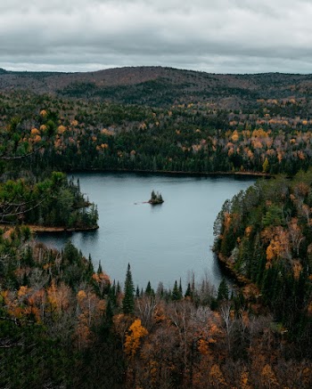 Lake in The Middle Of A Forest