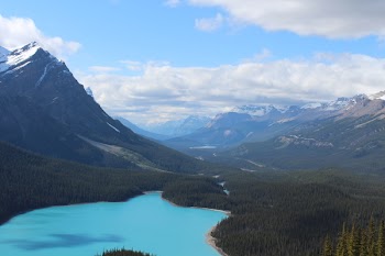 Lake in the Middle of Forest