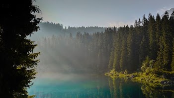 lake in woods