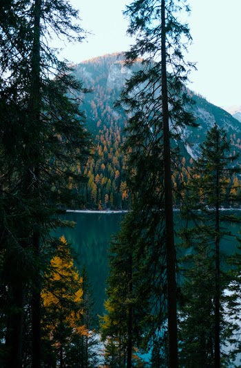 Lake Moraine