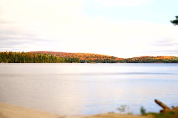 Lake Near Forest