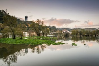 lake near houses