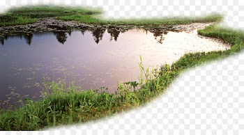 Lake Stream - Creative Style Lakes 