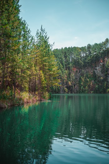 Lake Surrounded by Green-leafed Trees