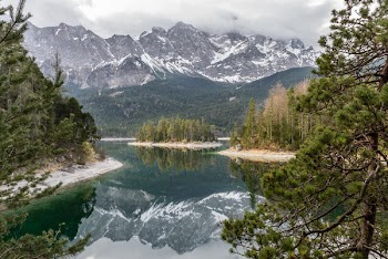 Lake Surrounded by Trees