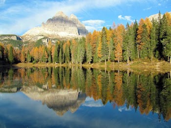 lake surrounded by trees