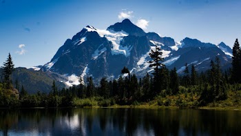Lake Surrounded by Trees