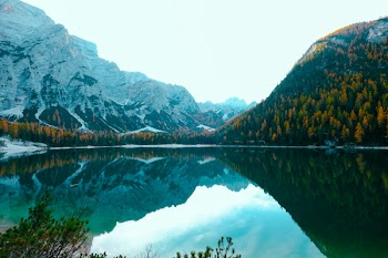 Lake Surrounded by Trees and Mountains