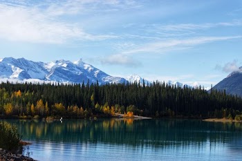 lake surrounded by trees during daytime
