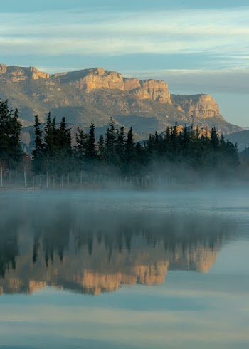 Lake Surrounded With Trees