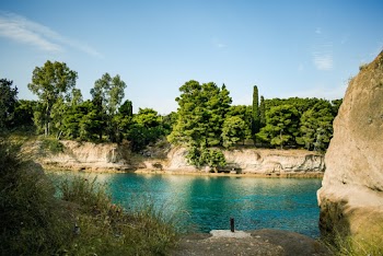 Lake Surrounded With Trees