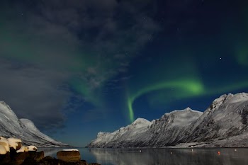 lake under auraro borealis at night