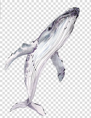 Lake with Dead Trees Watercolor painting Canvas Art, Hand-painted whale transparent background PNG clipart