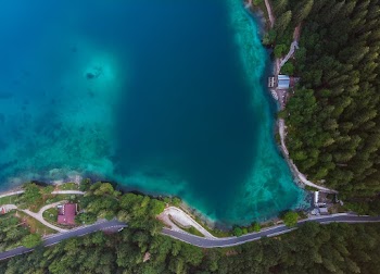 Lake With Trees on Side