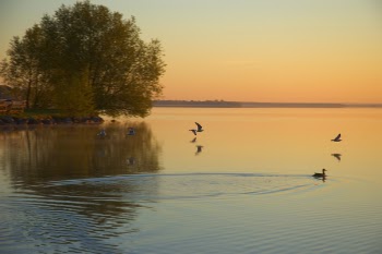 LakesideDawn.jpg