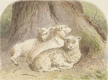 Lambing Time (tail piece) | Free Photo - rawpixel