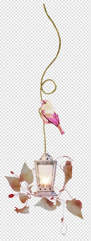 Lamp Lantern Light fixture , string light transparent background PNG clipart