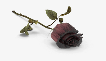 Lancaster Wrongful Attorneys Pa - Death Png - 740x410 PNG Download ...