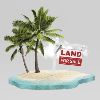 Land for sale on beach, | Free Photo - rawpixel